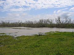 The lagoon, seen from the stopbank. 30 foot portage required.