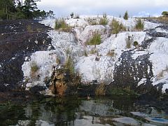 The water temperature here would have been about 40�C