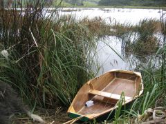 The track comes out into a tiny punt-sized clearing in the toitoi
