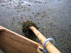 Water meadows are a challenge to navigation