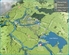 Whangamarino Wetland Trail Guide