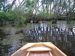 Exploring a backwater about a kilometre up from the ramp